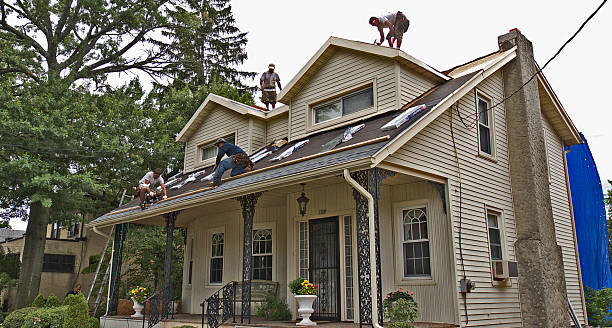 Best Metal Roofing Contractor  in Lago Vista, TX