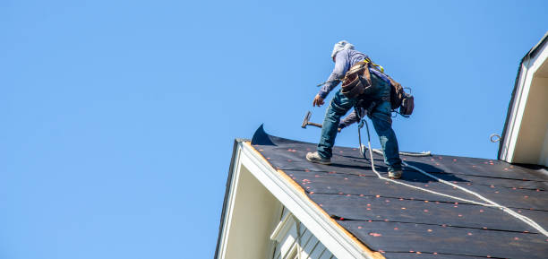 Best Flat Roof Repair Services  in Lago Vista, TX